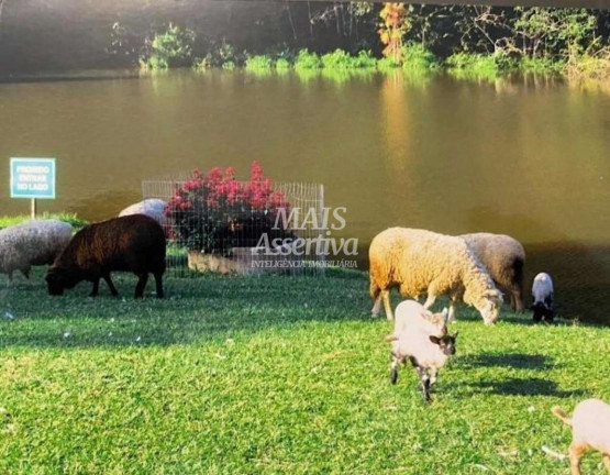 Imagem Terreno à Venda, 2 m² em Lomba Grande - Novo Hamburgo
