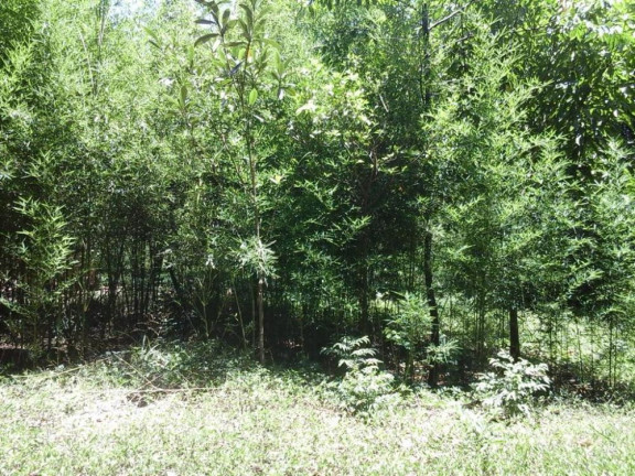 Imagem Imóvel à Venda, 87.900 m² em Jardim Do Cedro - São José Do Rio Preto Imagem Imóvel à Venda, 87.900 m² em Jardim Do Cedro - São José Do Rio Preto
