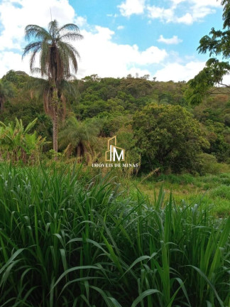 Imóvel com 4 Quartos à Venda, 6.000 m² em Ponta Da Serra - Itatiaiuçu