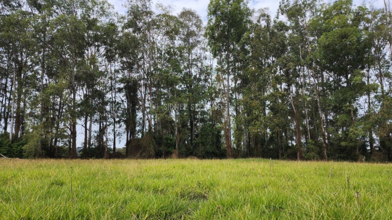 Terreno à Venda, 650 m² em Thermas De Santa Bárbara - águas De Santa Bárbara