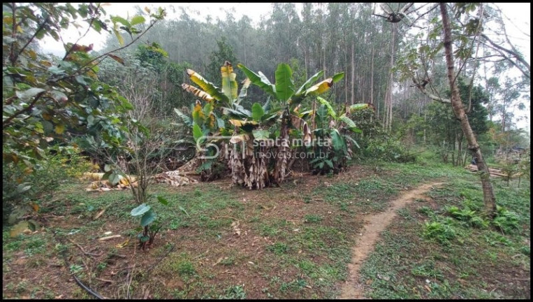 Imagem Imóvel com 2 Quartos à Venda, 811.400 m² em Paiol - Silveiras