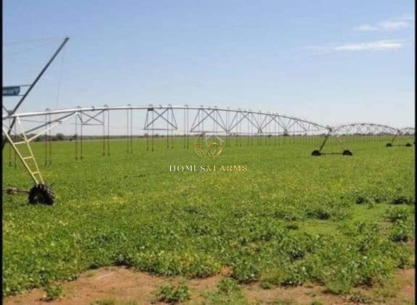 Imagem Imóvel com 3 Quartos à Venda, 11.829 m² em Zona Rural - Jussara