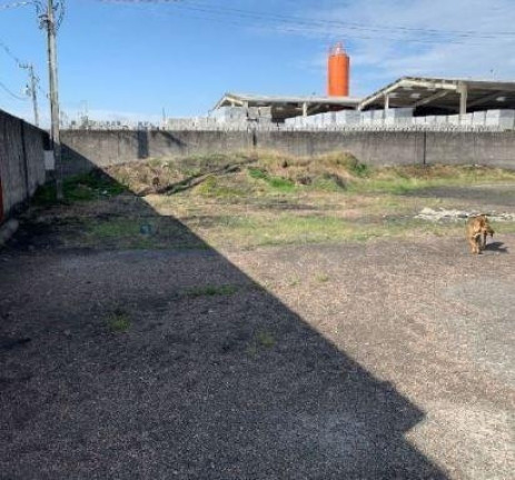 Imagem Imóvel Comercial à Venda, 2.400 m² em Ipê - Sao Jose Dos Pinhais