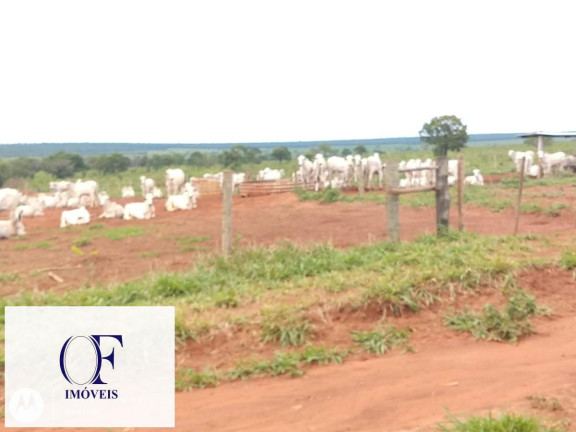 Imagem Fazenda à Venda, 3.097 m² em Rural - Chapadão Do Sul Imagem Fazenda à Venda, 3.097 m² em Rural - Chapadão Do Sul