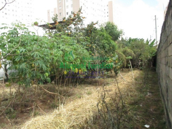 Imagem Terreno para Alugar ou Temporada, 310 m² em Cidade Nova - Jundiaí
