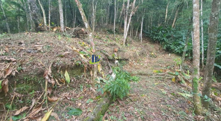 Imagem Imóvel à Venda,  em Centro - Camboriú