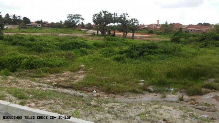 Terreno à Venda, 150 m² em Jardim - Paracuru