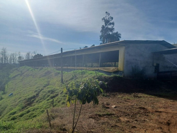 Terreno à Venda, 73.000 m² em Interior - Concórdia