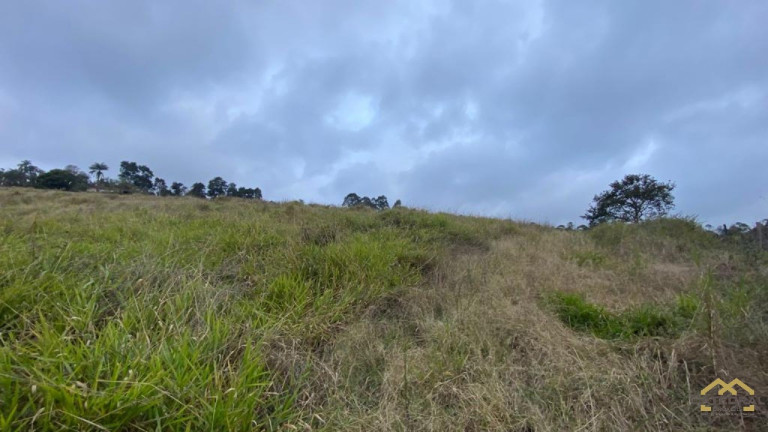 Imagem Terreno à Venda, 27.000 m² em Campo Largo - Jarinu Imagem Terreno à Venda, 27.000 m² em Campo Largo - Jarinu