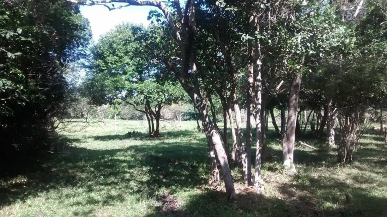 Imagem Chácara à Venda, 4.800 m² em São João Do Rio Vermelho - Florianópolis Imagem Chácara à Venda, 4.800 m² em São João Do Rio Vermelho - Florianópolis