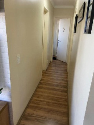 Imagem Apartamento com 3 Quartos à Venda, 63 m² em Vila Moraes - São Paulo