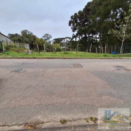 Imagem Terreno à Venda, 1.600 m² em Colonia Murici - São José Dos Pinhais
