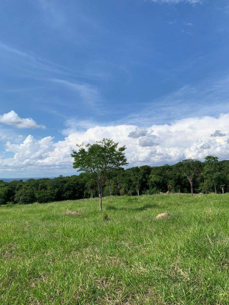 Imagem Fazenda à Venda, 22 m² em Zona Rural - Palmeiras De Goiás Imagem Fazenda à Venda, 22 m² em Zona Rural - Palmeiras De Goiás