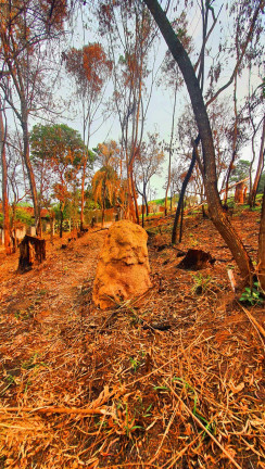 Imagem Imóvel à Venda, 700 m² em Jardim Estância Brasil - Atibaia Imagem Imóvel à Venda, 700 m² em Jardim Estância Brasil - Atibaia