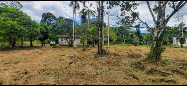 Imagem Imóvel com 2 Quartos à Venda, 3.500 m² em Gaivota (interior) - Itanhaém