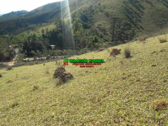 Chácara à Venda, 20.000 m² em São Francisco Xavier - São José Dos Campos
