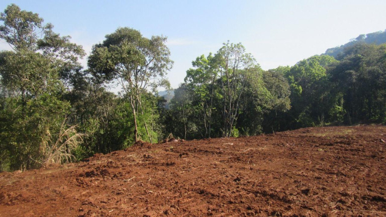 Imagem Terreno à Venda, 28.000 m² em Interior - Concórdia Imagem Terreno à Venda, 28.000 m² em Interior - Concórdia