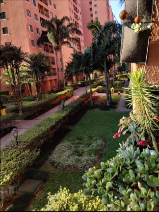 Imagem Apartamento com 3 Quartos à Venda, 61 m² em Vila Do Castelo - São Paulo