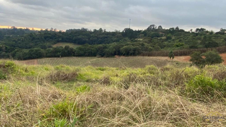 Terreno à Venda, 27.000 m² em Campo Largo - Jarinu