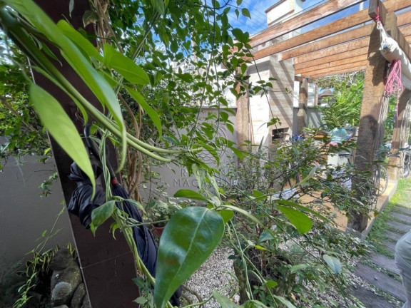 Imagem Casa com 3 Quartos à Venda, 300 m² em Itaguá - Ubatuba Imagem Casa com 3 Quartos à Venda, 300 m² em Itaguá - Ubatuba