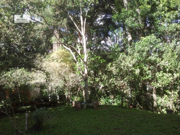 Imagem Chácara com 3 Quartos à Venda, 2.700 m² em Caetê - São Roque Imagem Chácara com 3 Quartos à Venda, 2.700 m² em Caetê - São Roque