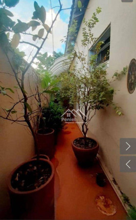 Imagem Casa com 3 Quartos à Venda, 127 m² em Vila Seixas - Ribeirão Preto Imagem Casa com 3 Quartos à Venda, 127 m² em Vila Seixas - Ribeirão Preto