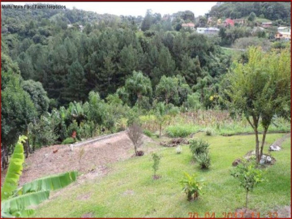 Imagem Imóvel com 20 Quartos à Venda,  em Vila Olinda - Nova Petrópolis