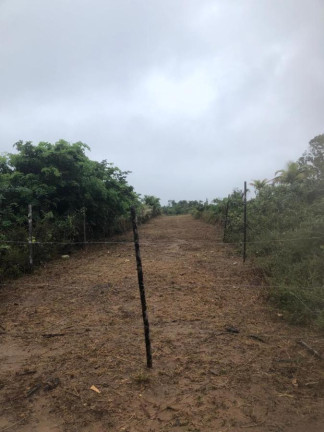 Imagem Imóvel à Venda, 150 m² em Busca Vida (abrantes) - Camaçari Imagem Imóvel à Venda, 150 m² em Busca Vida (abrantes) - Camaçari