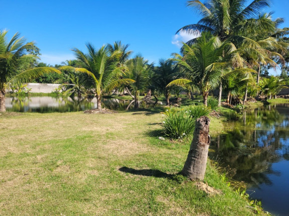 Imagem Imóvel com 4 Quartos à Venda, em Camurugi - Guarapari Imagem Imóvel com 4 Quartos à Venda, em Camurugi - Guarapari