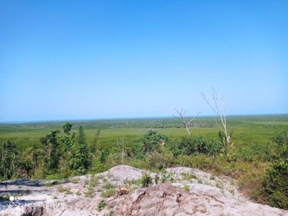 Imagem Fazenda à Venda, 400.000 m² em Ilha De Atalaia - Canavieiras Imagem Fazenda à Venda, 400.000 m² em Ilha De Atalaia - Canavieiras