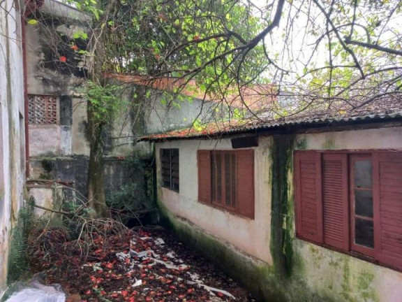 Imagem Terreno à Venda, 312 m² em Vila Apiaí - Santo André