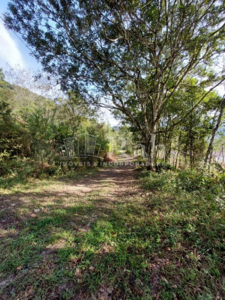 Imagem Terreno à Venda, 36.000 m² em Braço - Camboriú Imagem Terreno à Venda, 36.000 m² em Braço - Camboriú