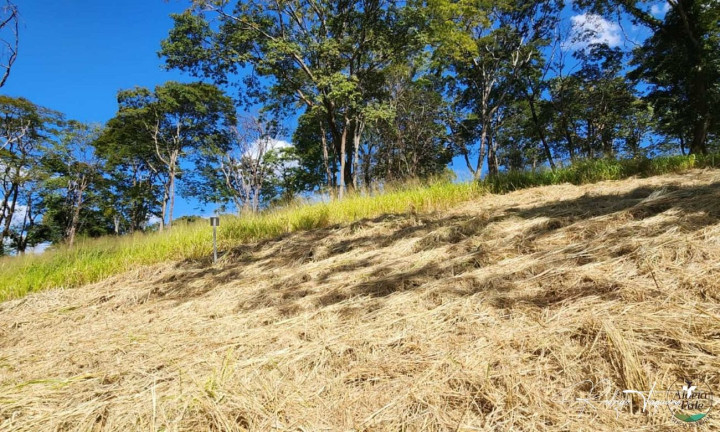 Imagem Terreno à Venda, 3.346 m² em Residencial Aldeia Do Vale - Goiânia Imagem Terreno à Venda, 3.346 m² em Residencial Aldeia Do Vale - Goiânia