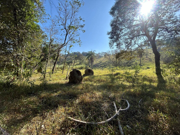 Imagem Terreno à Venda, 11 m² em Pedras - Itatiaiuçu Imagem Terreno à Venda, 11 m² em Pedras - Itatiaiuçu