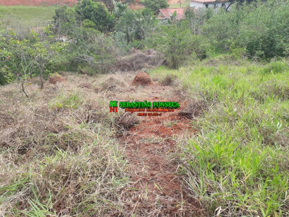 Imagem Chácara à Venda, 750 m² em Sob. Consulta - Paraibuna Imagem Chácara à Venda, 750 m² em Sob. Consulta - Paraibuna