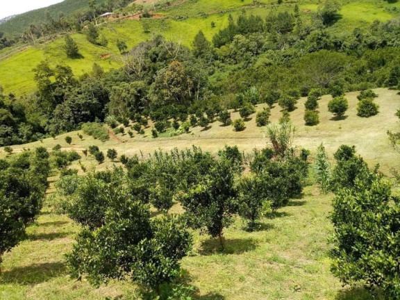Imagem Imóvel com 2 Quartos à Venda, 51.700 m² em Centro - Cerro Azul