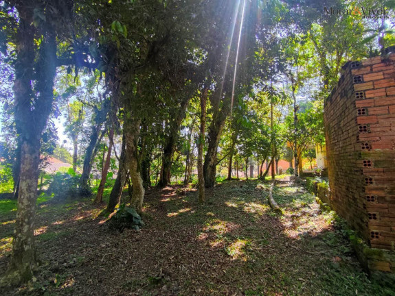 Imagem Chácara à Venda, 6.000 m² em Loteamento Chácara Chantecler - Piraquara Imagem Chácara à Venda, 6.000 m² em Loteamento Chácara Chantecler - Piraquara