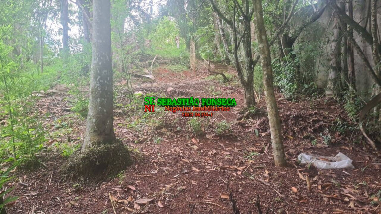 Imagem Chácara com 2 Quartos à Venda, 3.000 m² em Mirante Da Serra - Igaratá Imagem Chácara com 2 Quartos à Venda, 3.000 m² em Mirante Da Serra - Igaratá