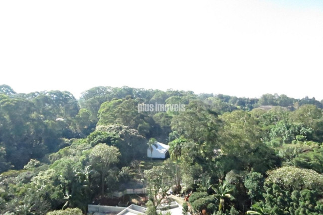 Imagem Apartamento com 4 Quartos à Venda, 296 m² em Alto Da Boa Vista - São Paulo Imagem Apartamento com 4 Quartos à Venda, 296 m² em Alto Da Boa Vista - São Paulo