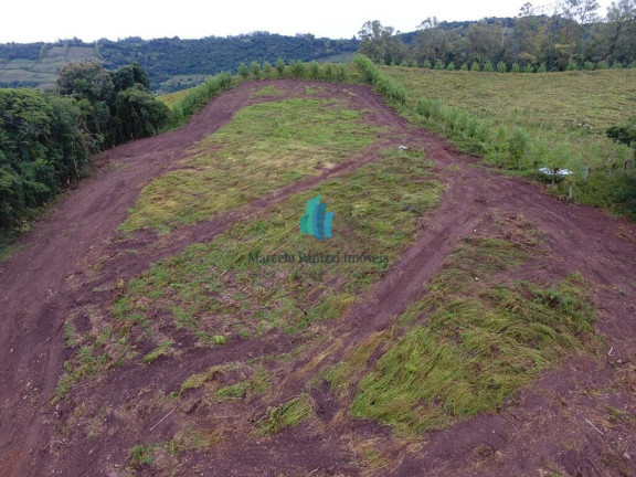 Imagem Terreno à Venda, 120.000 m² em Linha Pederneira - Monte Belo Do Sul Imagem Terreno à Venda, 120.000 m² em Linha Pederneira - Monte Belo Do Sul