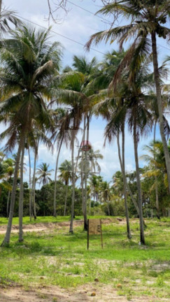 Imagem Terreno à Venda, 200 m² em Carneiros - Tamandaré Imagem Terreno à Venda, 200 m² em Carneiros - Tamandaré