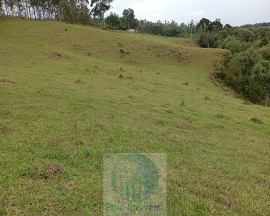 Imagem Imóvel com 2 Quartos à Venda, 150.000 m² em Rural - Jacuí Imagem Imóvel com 2 Quartos à Venda, 150.000 m² em Rural - Jacuí