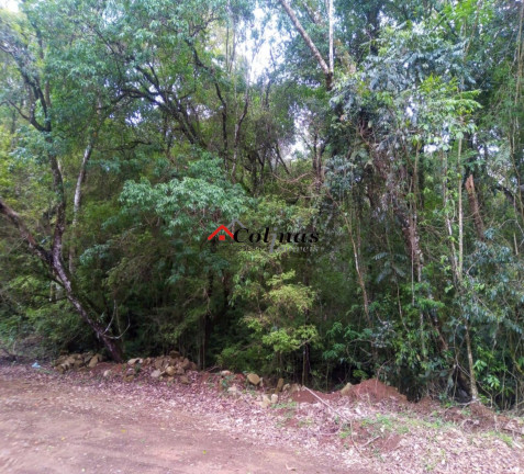 Imagem Terreno à Venda, em Depois Do Centro - Ibiúna Imagem Terreno à Venda, em Depois Do Centro - Ibiúna