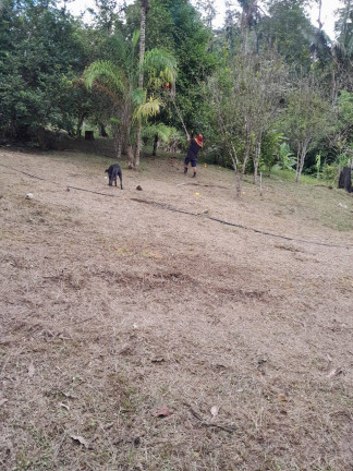 Imagem Terreno à Venda, 138 m² em Rio Preto Da Eva Imagem Terreno à Venda, 138 m² em Rio Preto Da Eva