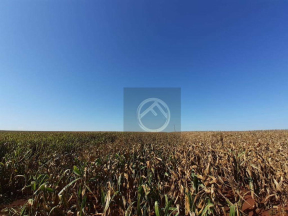 Fazenda à Venda, 10.962.600 m² em Centro - Francisco Alves