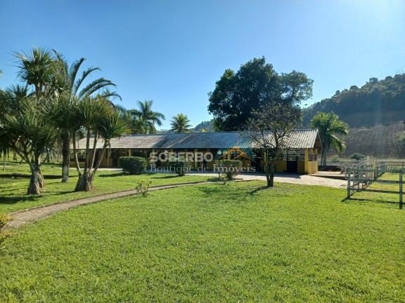 Imagem Imóvel com 4 Quartos à Venda, 720.000 m² em Maraporá - Cachoeiras De Macacu