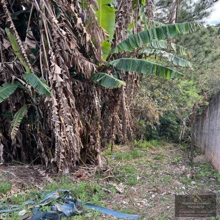 Imagem Terreno à Venda, 3.000 m² em Porta Do Sol - Mairinque Imagem Terreno à Venda, 3.000 m² em Porta Do Sol - Mairinque