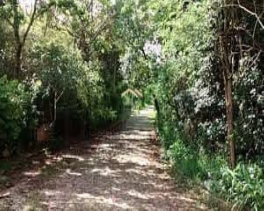 Imagem Terreno à Venda, 1.007 m² em Ville De Montagne - Nova Lima
