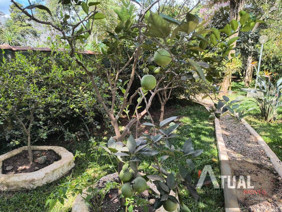 Imagem Chácara com 3 Quartos à Venda, 300 m² em Canjica (terra Preta) - Mairiporã Imagem Chácara com 3 Quartos à Venda, 300 m² em Canjica (terra Preta) - Mairiporã