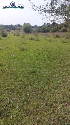 Imagem Chácara à Venda, 40.000 m² em Viamão Imagem Chácara à Venda, 40.000 m² em Viamão